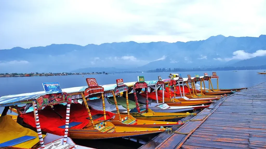 shikara kashmir