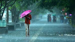 15 Enchanting Things to Do in Kerala During Monsoon | Rainy Season Guide
