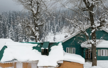 Gulmarg tour