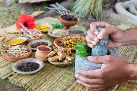 Kerala Ayurveda Spa Retreat Packages – Rejuvenate Your Mind, Body & Soul