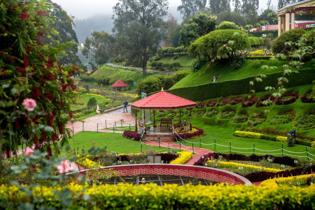 Munnar vs Ooty  -which one is best