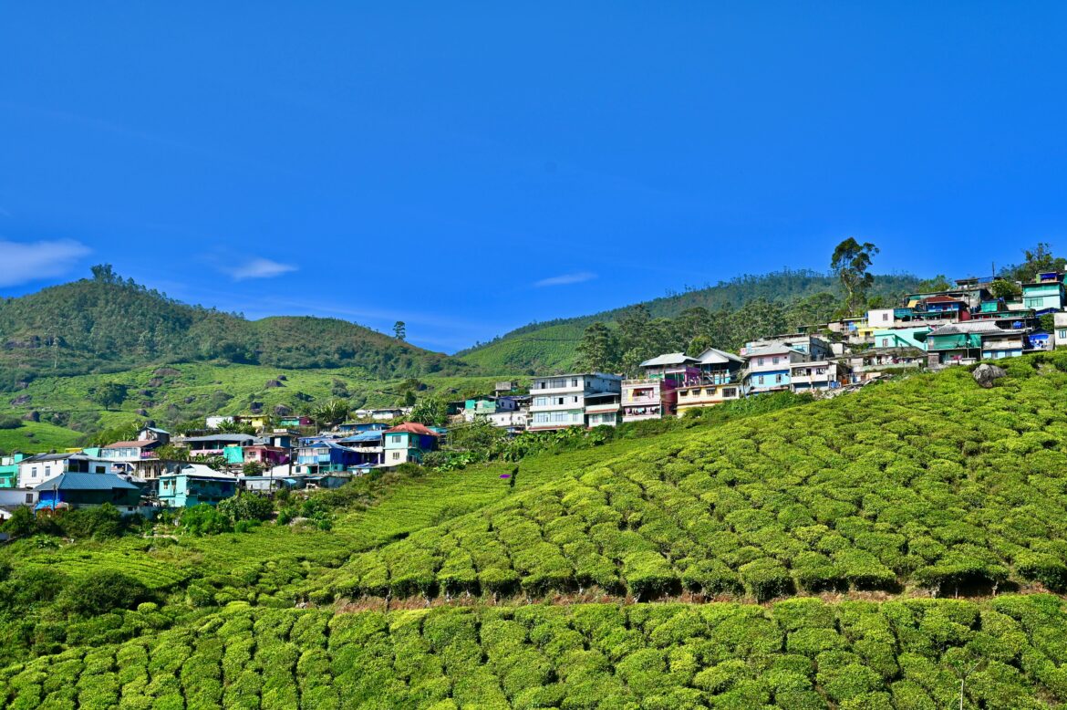 3 Nights 4 Days Kerala Backwaters and Hill Station Tour Package – A Perfect Getaway