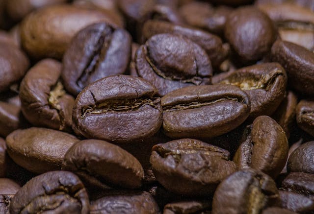 Coorg vs Chikmagalur