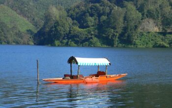How to plan a 7 Days Kerala Tour Package covering Munnar, Thekkady, and Alleppey 6 Kerala Family Holiday Packages