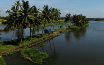 kerala village tour