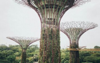 pexels elina sazonova 1907053