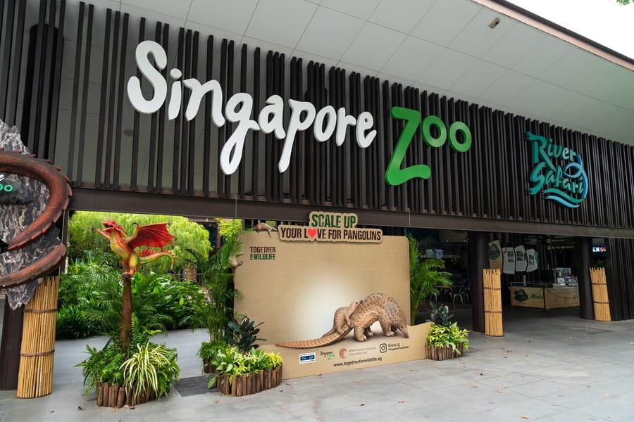 Best Singapore package itinerary with Universal Studios and Night Safari