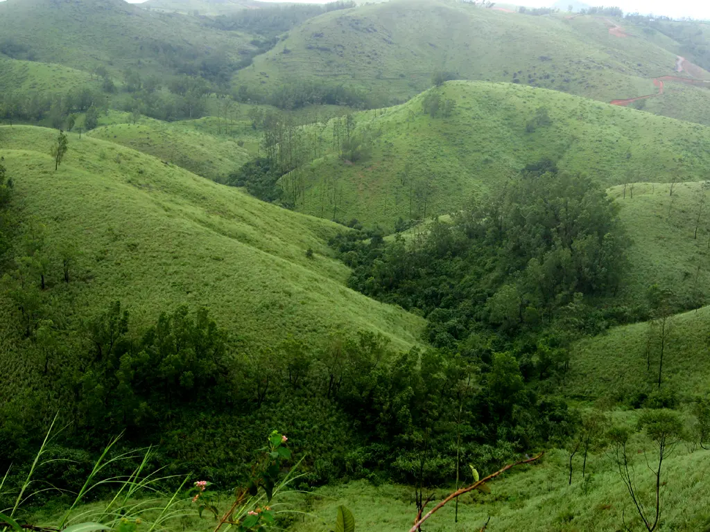 What to see in Vagamon: 12 Ultimate Places to Visit in Kerala's Scotland 12 tourist attractions in Vagamon — misty sunrise over Vagamon Meadows rolling green hills