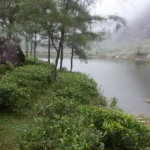 tourist attractions in Vagamon — Vagamon Lake dawn reflection pine forest mirror surface