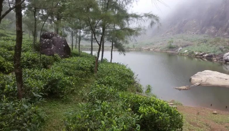 tourist attractions in Vagamon — Vagamon Lake dawn reflection pine forest mirror surface